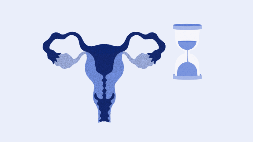 amh-check-timing-body1