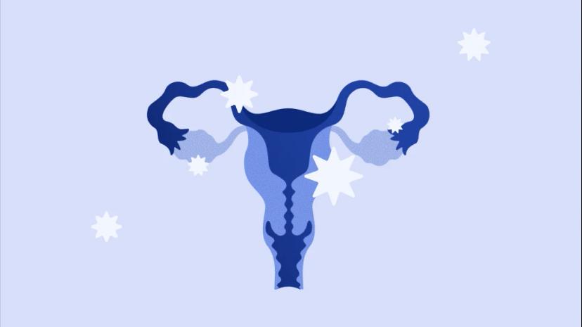 ovhealth-regular-period-body2