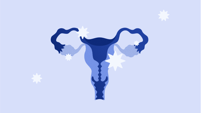 ovhealth-regular-period-body2