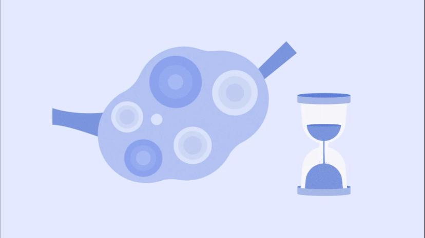 amh-zero-score-body1