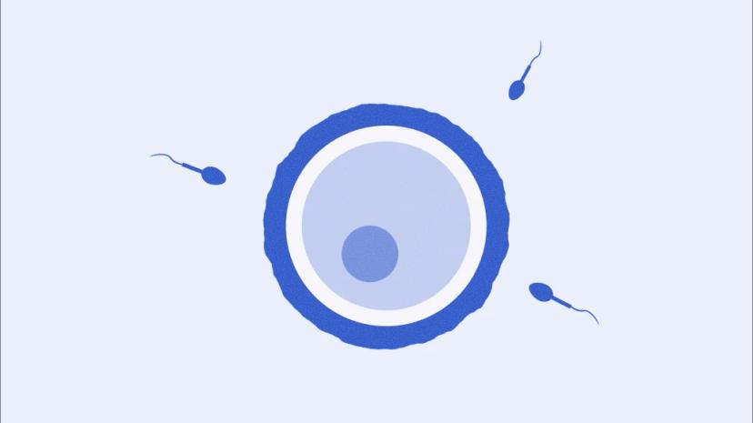 ovhealth-late-marriage-body2