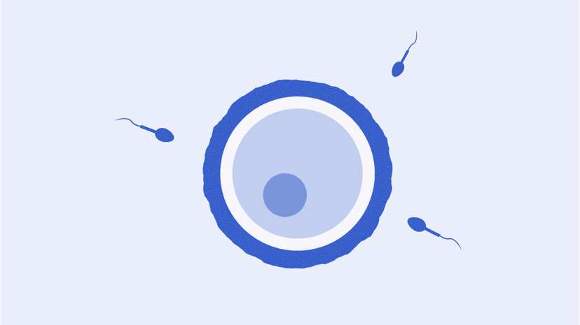 ovhealth-late-marriage-body2