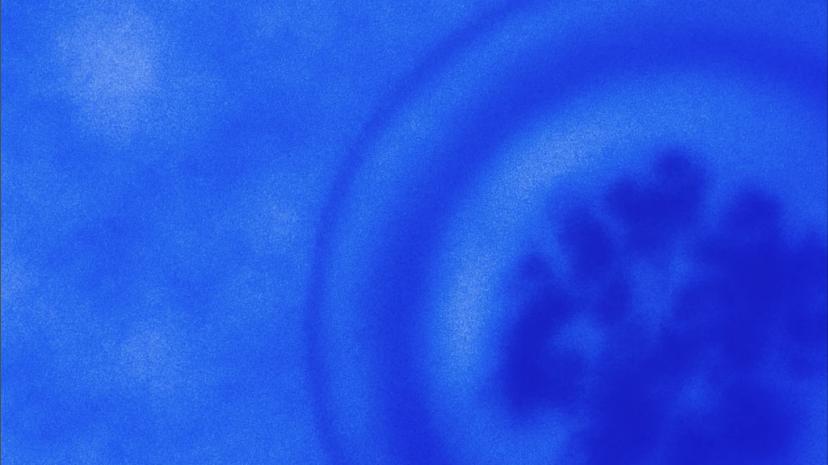 eggfreezing-misconceptions-cover