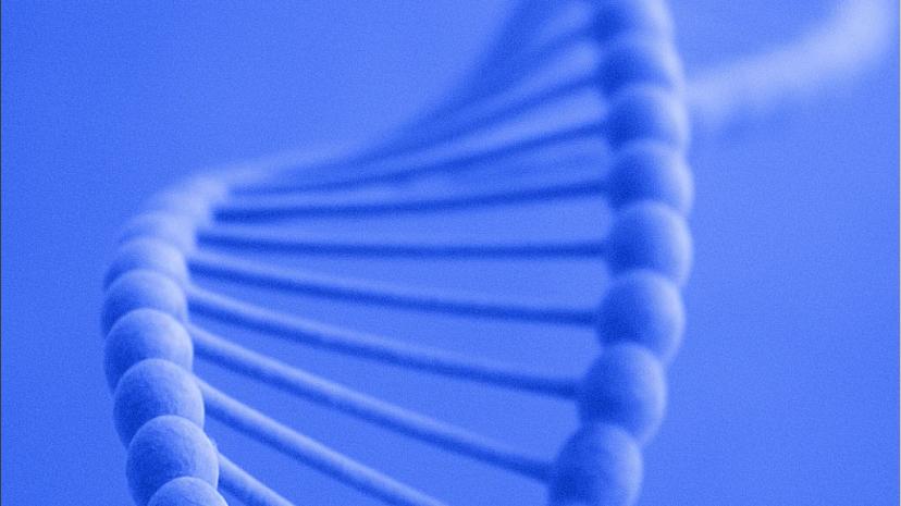 poi-mother-heredity-cover