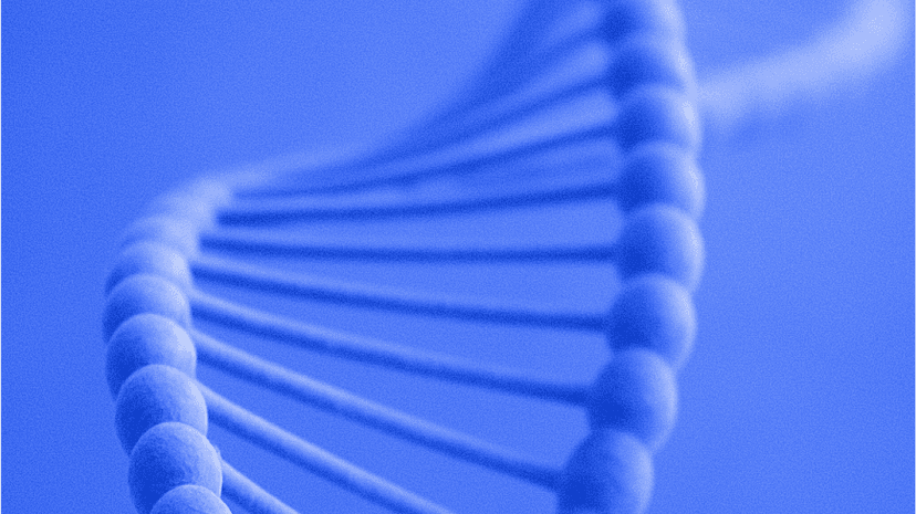 poi-mother-heredity-cover