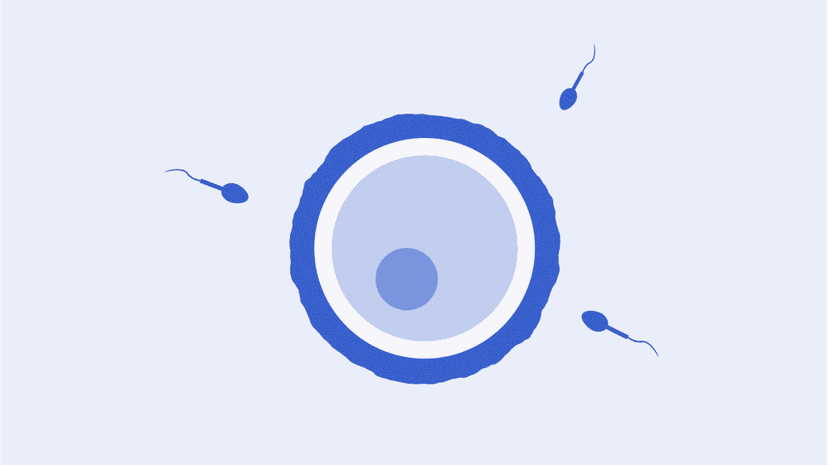 amh-recommend-friend-body2