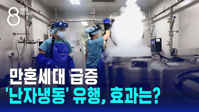 "나도 얼렸다" 난자냉동 유행…생존율 높이려면 몇 살에? / SBS 8뉴스